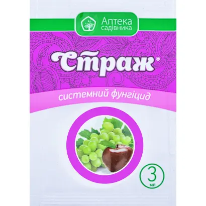 СТРАЖ