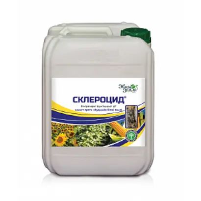 СКЛЕРОЦИД