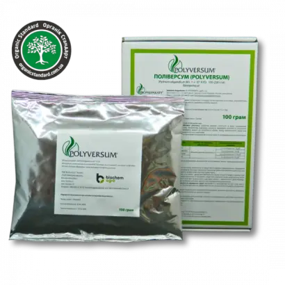 Поліверсум