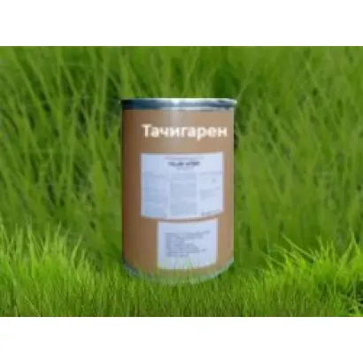 Тачигарен з.п.