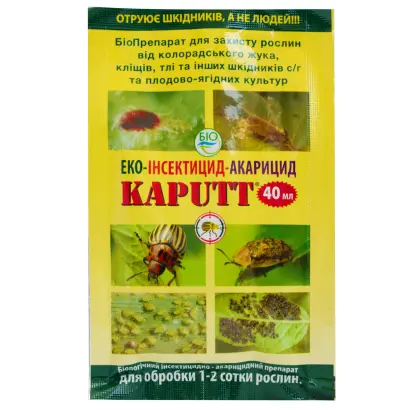 Kaputt