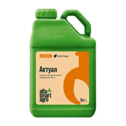 АКТУАЛ