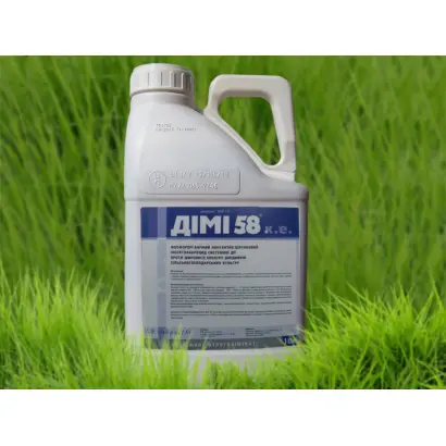 Димі 58 к.е., ин