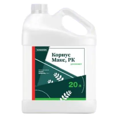 Корнус Протект