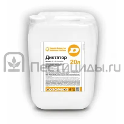 Диктатор, ТБ