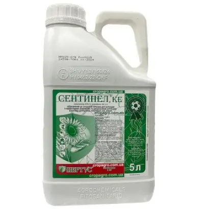 Сентинел, КЕ