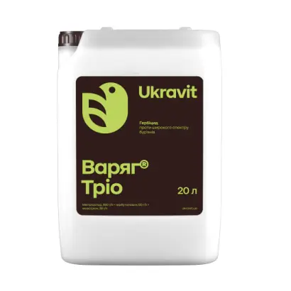 ВАРЯГ ТРІО, СЕ