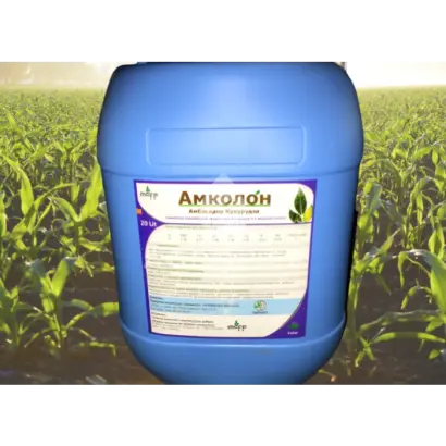 Амколон