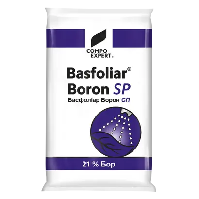 Басфоліар Борон СП