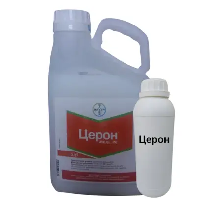 Кренел Соілфіт