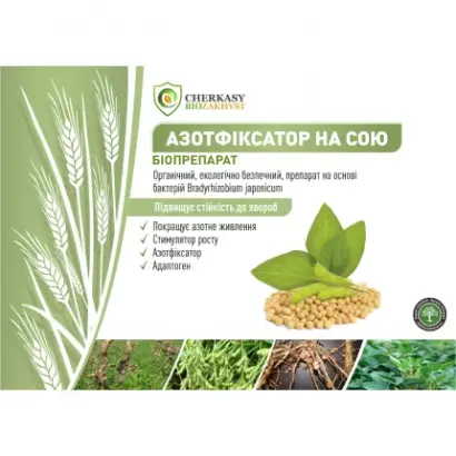 Азотфіксатор на сою