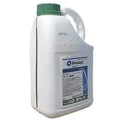 РЕВИТАЛ ПЛЮС