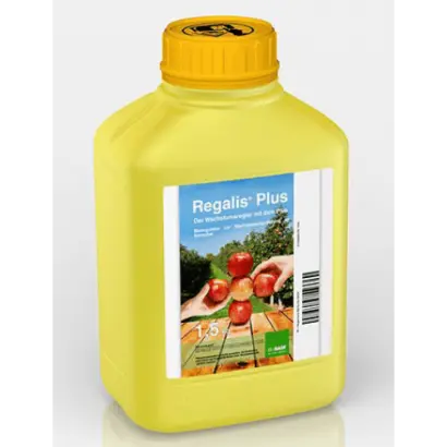 МайкроСорч Плюс