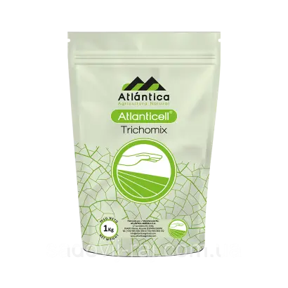 ATLANTICELL МІСОМІХ