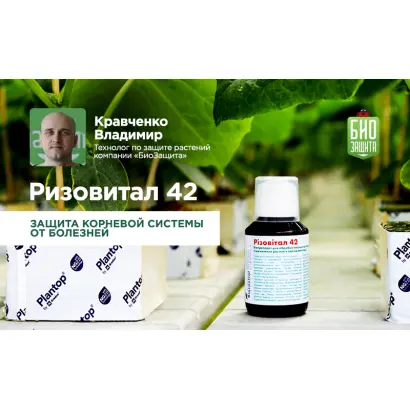 Різовітал 42