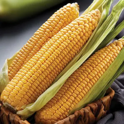 ZHY1797ID / ЖИ1797ІД