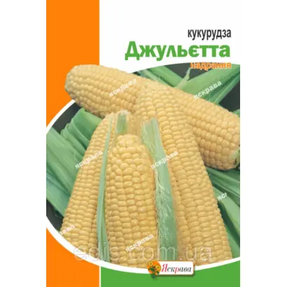 ZUY2835OL / ЗУІ2835ОЛ