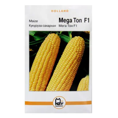 Megaza / Мегаза