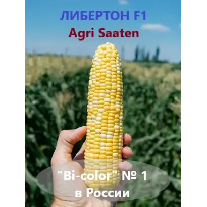 Excalibur F1 / Ескалібур F1