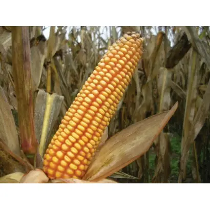 Agralp - 200 / Агральп - 200