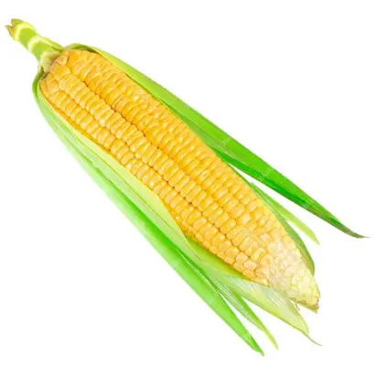 Almaty / Алматі