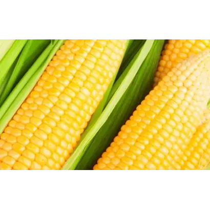 Amando / Амандо