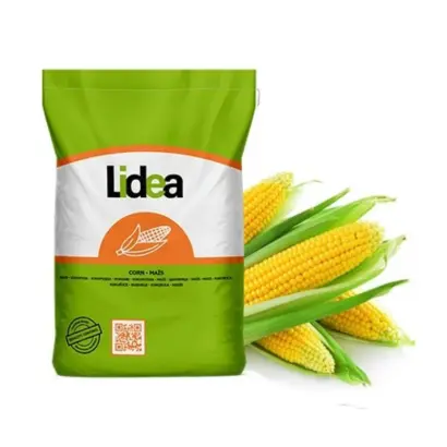 Anovi CS / Анові КС