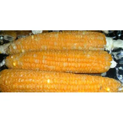 ANSERA / АНСЕРА