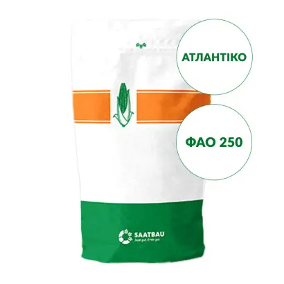 Atlantico / Атлантіко