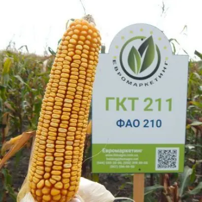 GKT 211 / ГКТ 211