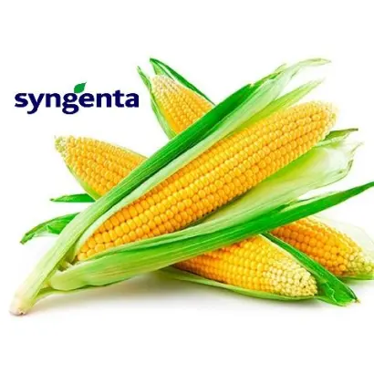 Delitop / Делітоп