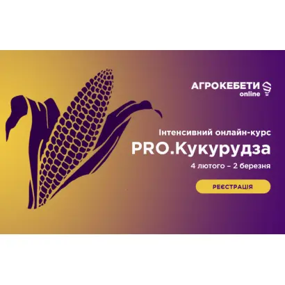 Digital / Діджитал