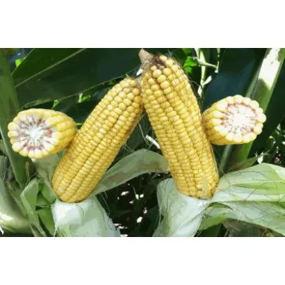 DKC3415 / ДКС3415