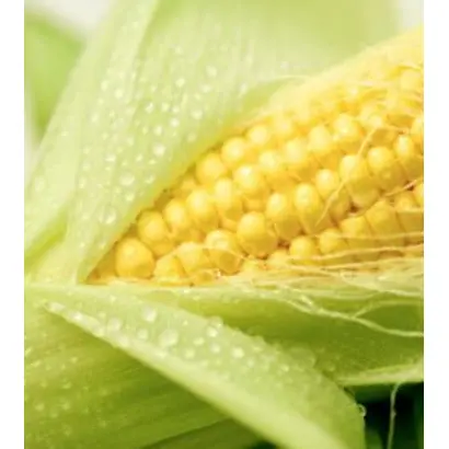 DKC3507 / ДКС3507