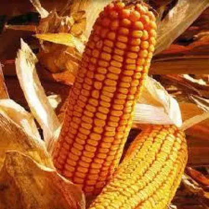 DKC3811 / ДКС3811