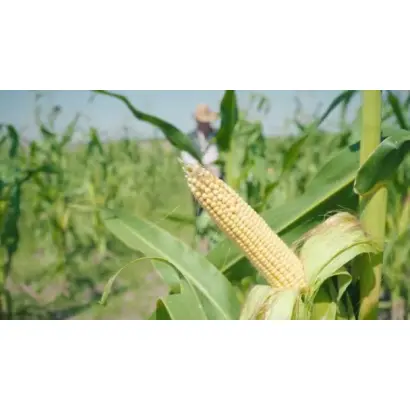 DKC4238 / ДКС4238