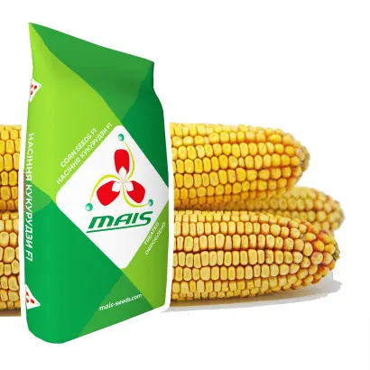 ДМ Вікторія