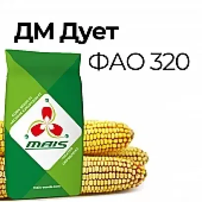 ДМ Дует