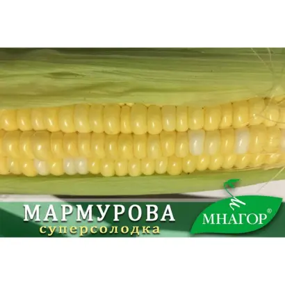ДН Марго