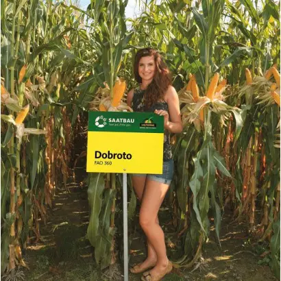 Dobroto / Доброто