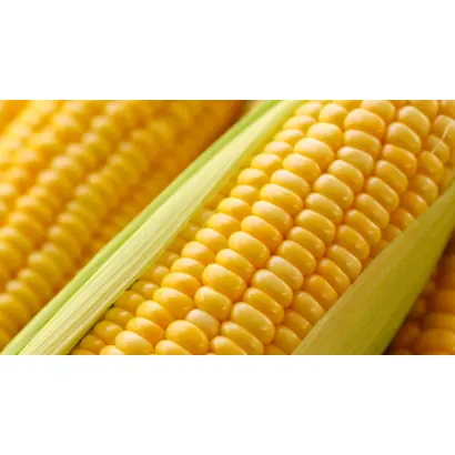 Evgeni CS / Евжені КС