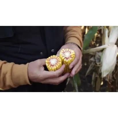 EXXCLAM / ЕККСКЛАМ