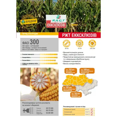 EXXCLUSIV / ЕККСКЛЮЗІВ