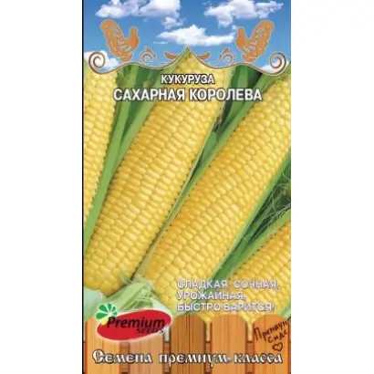 ELDACAR / ЕЛЬДАКАР