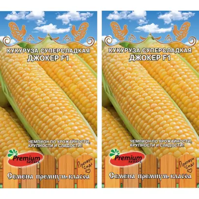 ES JOKER / ЕС ДЖОКЕР