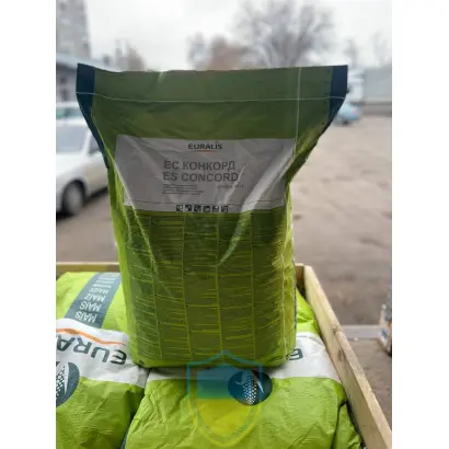 ES CONCORD / ЕС КОНКОРД