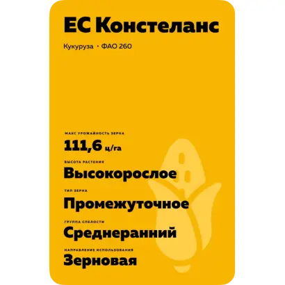 ES Constellation / ЕС КОНСТЕЛАНС