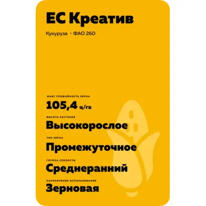 ES CREATIVE / ЕС КРЕАТИВ