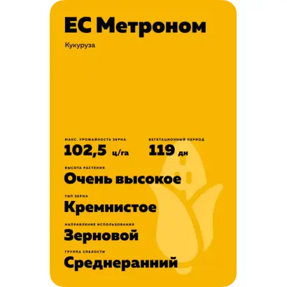 ES METRONOM / ЕС МЕТРОНОМ