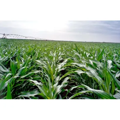 ES SKYTOWER / ЕС СКАЙТАВЕР